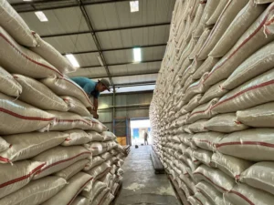 01jpkm1d7qj8jb6sh1rk4jhtxe