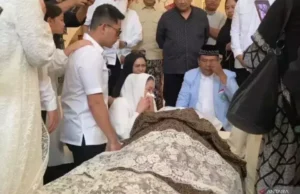 1753934898-800x533 (1)