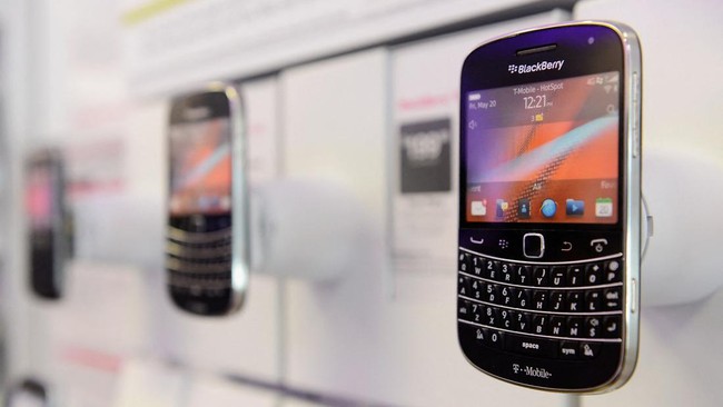 blackberry-bold_169