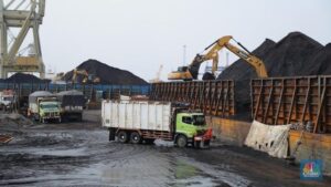 bongkar-muat-batu-bara-10_169