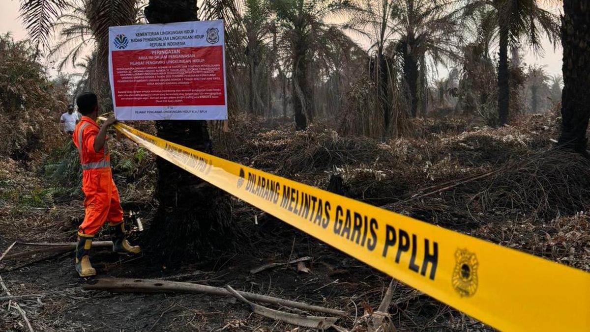 klhbplh-segel-empat-perusahaan-perkebunan-dan-tutup-satu-pabrik-sawit-terkait-karhutla-di-riau-1753507479831_169