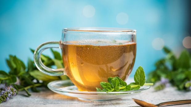 teh-peppermint_169