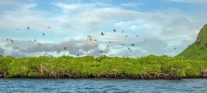 AdobeStock_65988428-Featured-Photo-e1753952839881