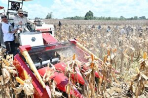 prabowo_panen_jagung_1749122983