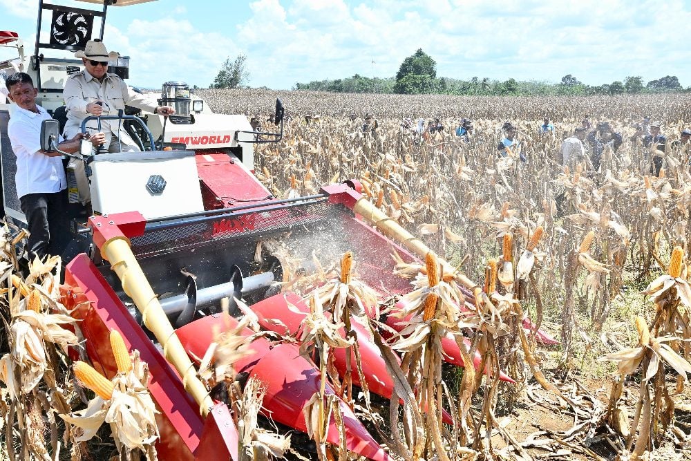 prabowo_panen_jagung_1749122983