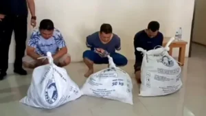 006745900_1757381646-1000104827