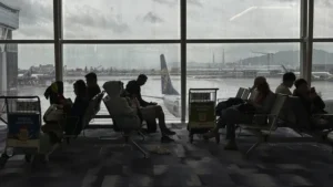 054305900_1696829112-unduhan__1___1_