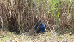 056903800_1758342681-f4ce2b1a-5eb7-4948-b75d-17f8554c5a58