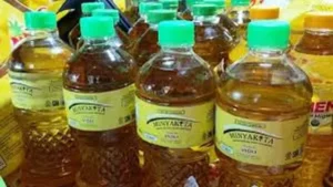 096915100_1741756812-minyak_kita