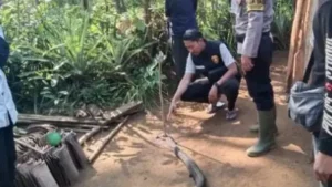 042815200_1759747630-127706