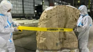 054107200_1759246878-Untitled