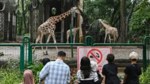 059661400_1743499971-20250401-Ragunan-MER_1