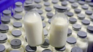 Whats_App_Image_2025_10_13_at_08_29_42_728df3948e