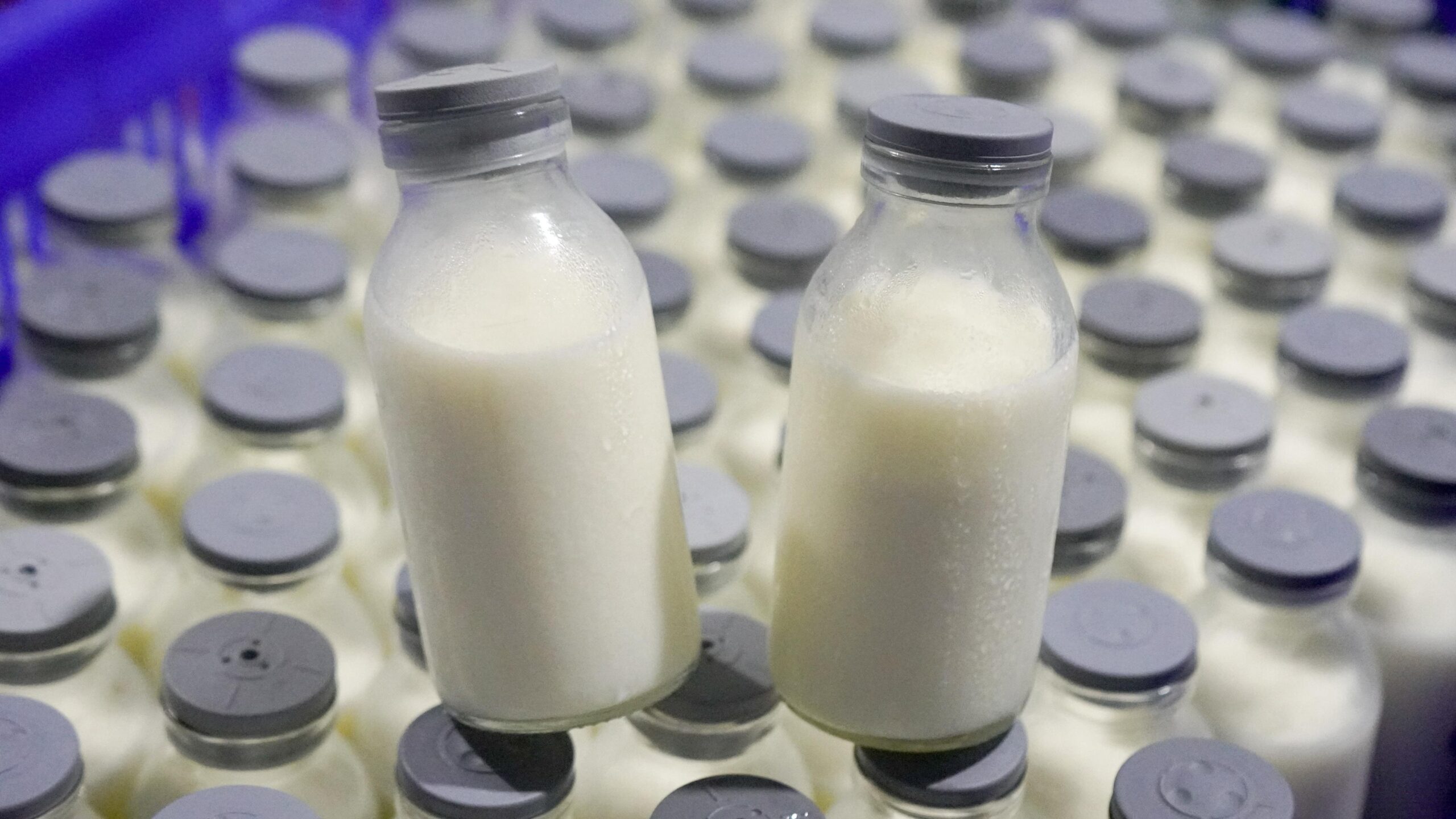 Whats_App_Image_2025_10_13_at_08_29_42_728df3948e