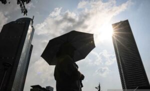 Whats_App_Image_2025_10_16_at_11_03_25_f6a36937cc