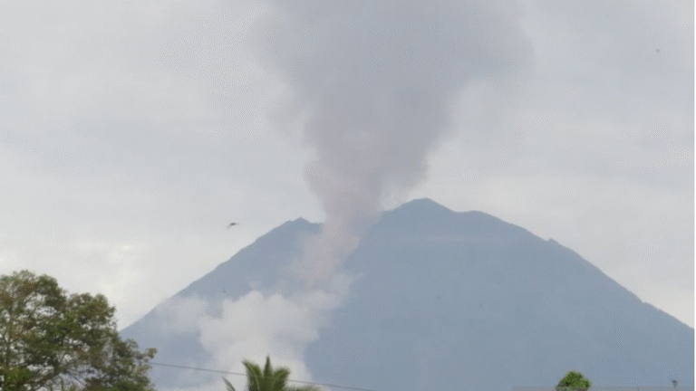 083789600_1763694668-Screenshot_2025-11-21_100709