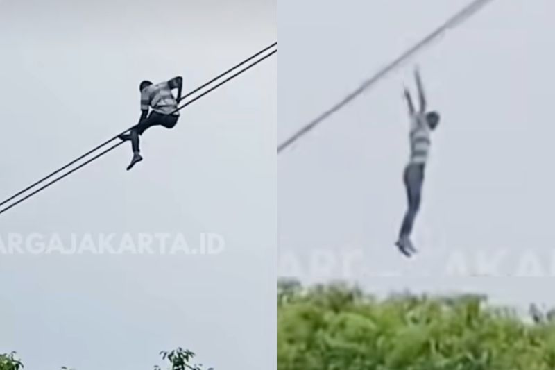 1000661954_85c6d9f4d5