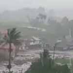 InShot_20251126_205126037