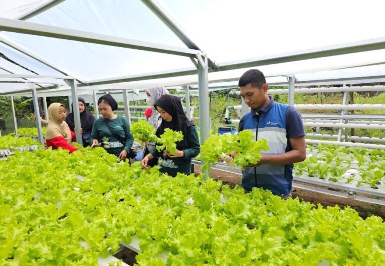 Screenshot-2025-11-02-222151