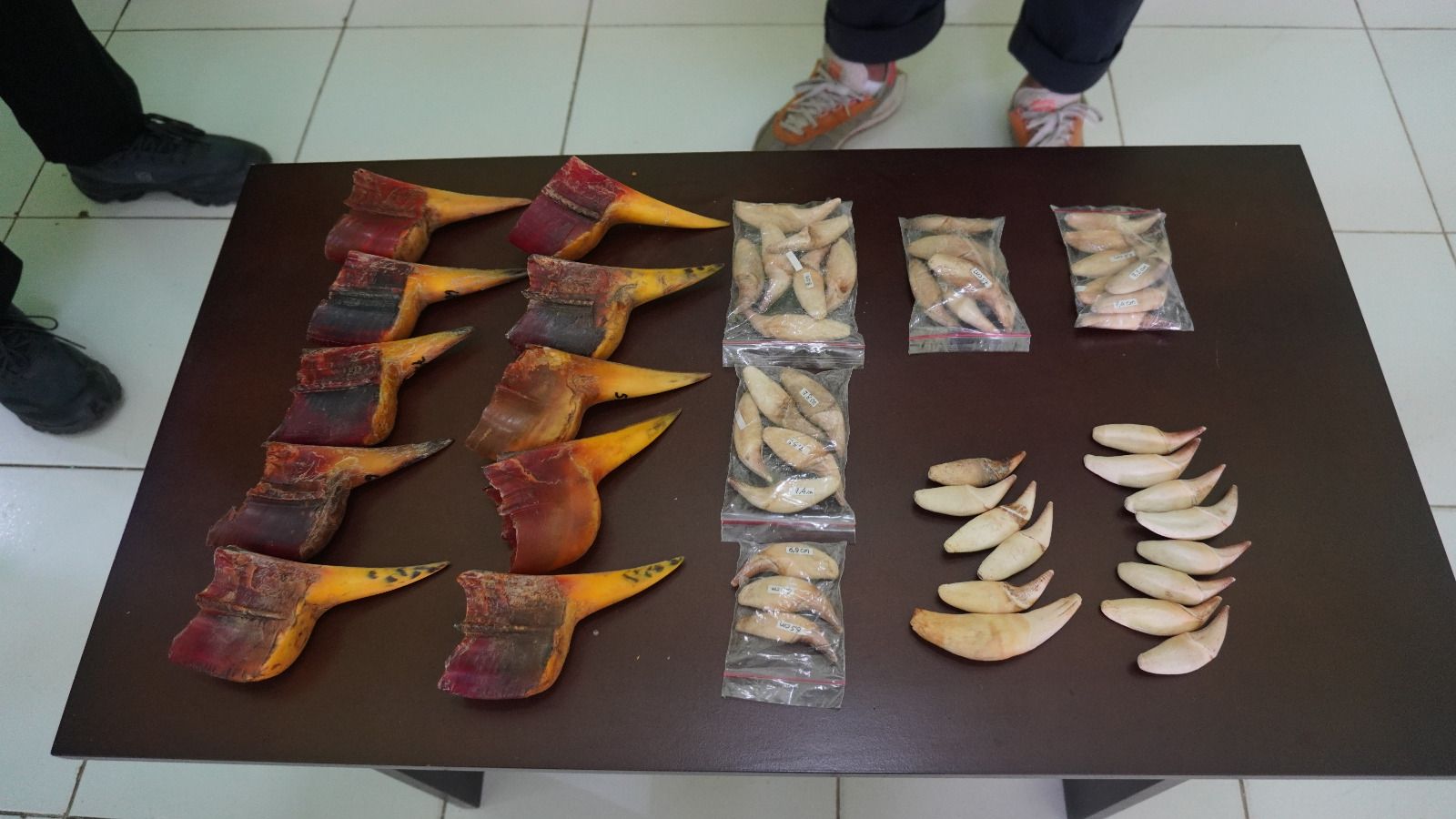 Whats_App_Image_2025_11_04_at_14_39_26_c745012c71