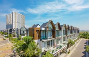 large_Whats_App_Image_2025_11_22_at_13_16_33_6b9132d8a6