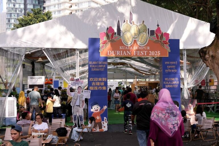 large_festival_durian_806861d23b