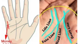 Fotoram.io-7-1200x675