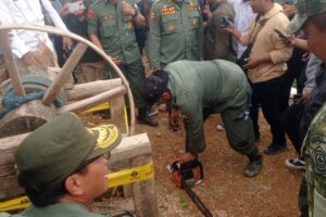 IMG_20251204_WA_0004_d4b7f46f10