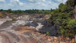 area-hutan-lindung-bukit-tengkorak-di-desa-sukomulyo-kabupaten-penajam-paser-utara-kalimantan-timur-tampak-rusak-akibat-aktivi-1759903750359_169