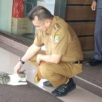 IMG_20260319_115718_copy_800x504