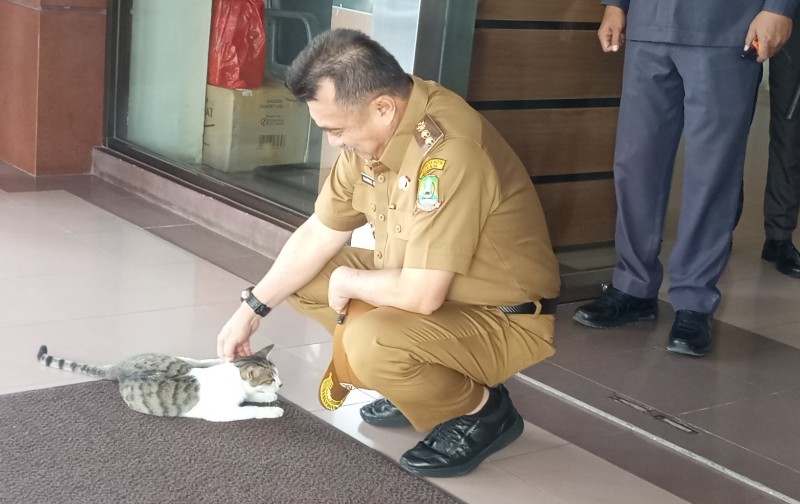 IMG_20260319_115718_copy_800x504