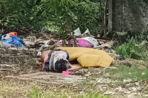 IMG_20260323_103043_copy_800x534