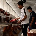 IMG_20260331_221302_copy_800x568