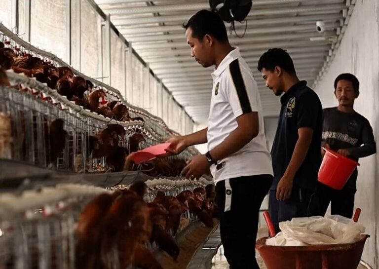 IMG_20260331_221302_copy_800x568