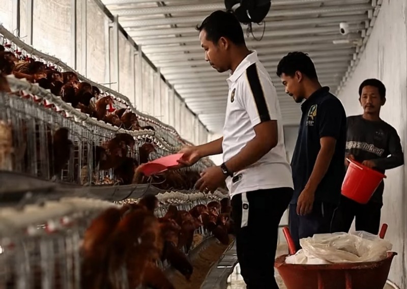 IMG_20260331_221302_copy_800x568