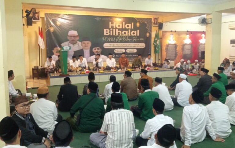 IMG_20260411_212208_copy_800x503