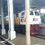 IMG_20260429_114439_copy_800x527