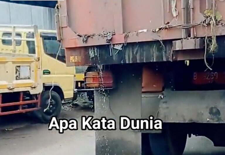 Screenshot_2026-04-26-20-59-48-449_com.kwai.bulldog_copy_800x550